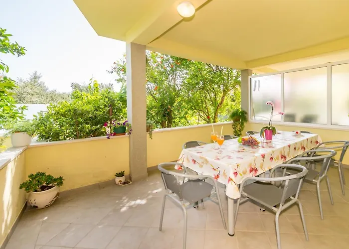 Petra 5 트로기르